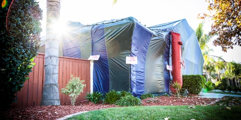 A house covered in large tarps for fumigation, with warning signs, surrounded by a wooden fence, green lawn, and landscaping. Sunlight is shining through the trees as Ant Roach & Spider Experts in Texas carry out professional pest control services to ensure your home remains safe and pest-free.