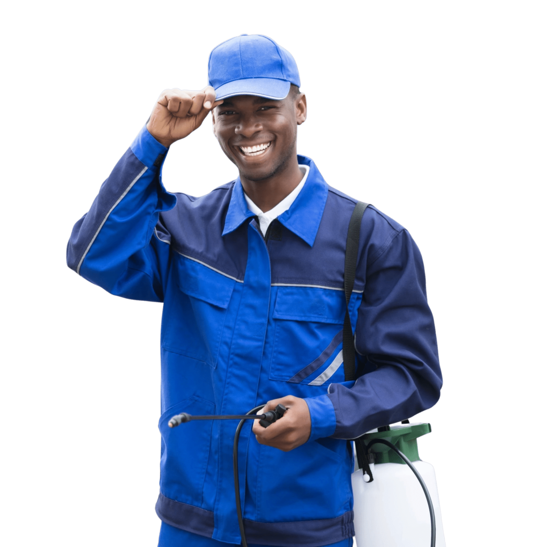 5dfe35ba-009c-42c8-b36b-8c9e09d50bde